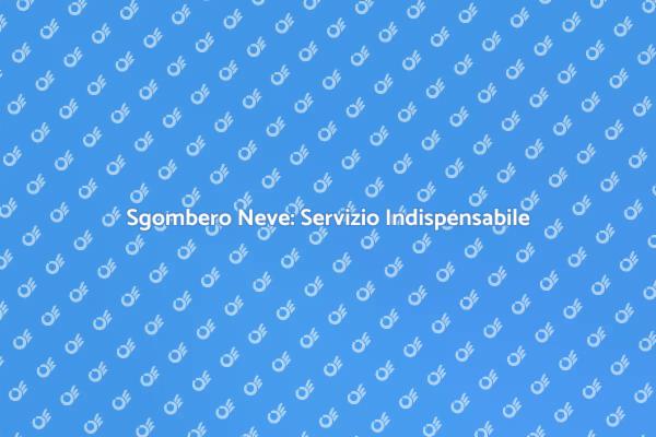 Sgombero Neve: Preparati per l'Inverno