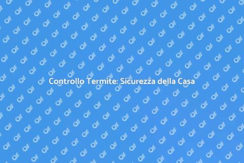 Ispezione Termite: Proteggi la Tua Casa