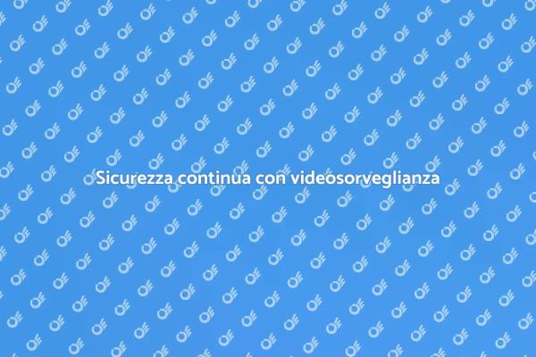 Videosorveglianza: sicurezza 24 ore su 24