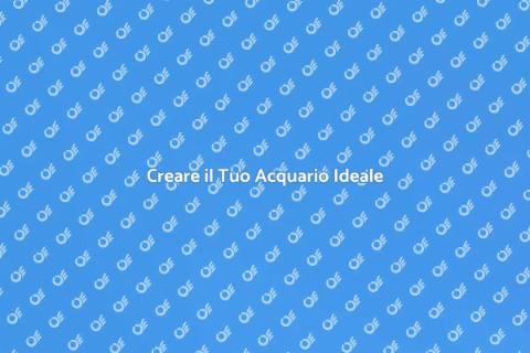 Set Completo per Installazione Acquario