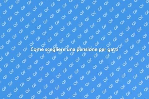 Gatto in pensione: la scelta giusta