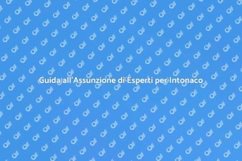 Assumere un Esperto per Intonacare