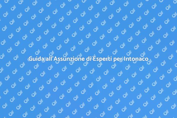 Come Scegliere un Esperto per Intonacare
