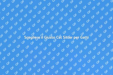 Cat Sitter per Gatti Istintivi