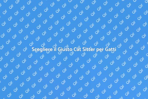 Guida alla Scelta di un Cat Sitter