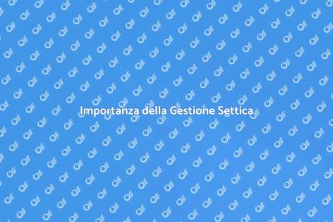 Gestione dei Materiali nel Sistema Settico