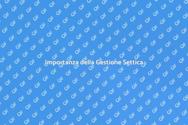 Gestione Efficiente nei Sistemi Settici
