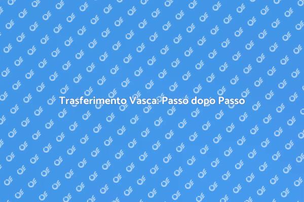 Trasferire la Vasca: Tutto Quello che Devi Sapere