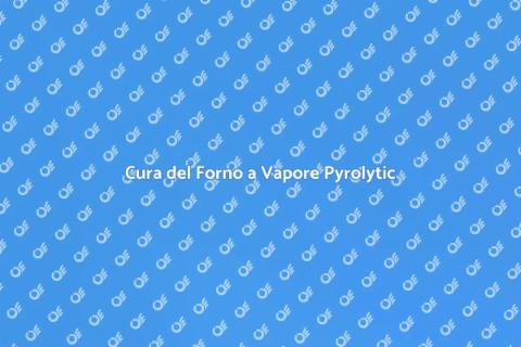 Manutenzione Forno a Vapore Pyrolytic