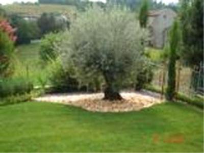 TecniflorDi Smania Adriano  - Foto 2