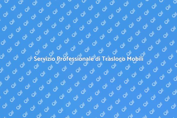 Trasporto e Deposito Mobili con Esperti