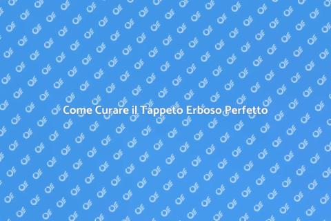 Curare il Tappeto Erboso Ideale