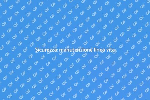 Manutenzione linea vita mobile: guida