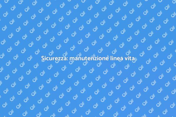 Manutenzione linea vita: sicurezza prima di tutto