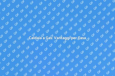 Nuova Caldaia a Gas: Comfort Assicurato