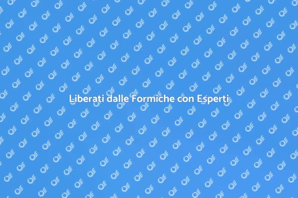 Disinfestazione Efficace delle Formiche
