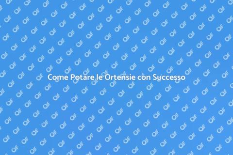 Potatura delle Ortensie: Guida Pratica