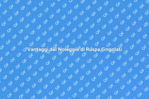 Noleggiare una Ruspa Cingolati