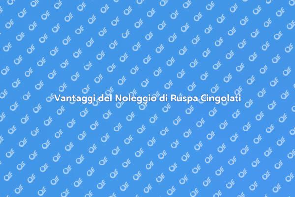 Noleggio Ruspa Cingolati: Perché Sceglierla?