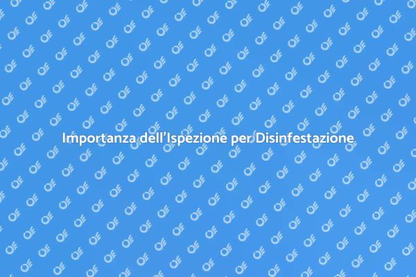Ispezione Essenziale per Ambienti Sani