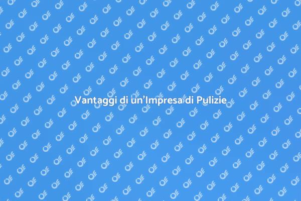 Pulizia Professionale per Ogni Esigenza