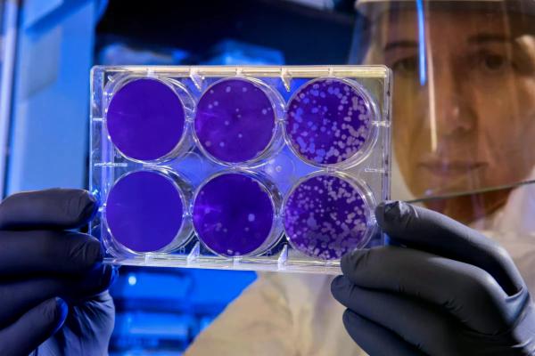 Come prevenire il Coronavirus?