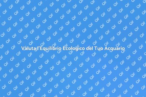 Kit per Equilibrio Ecologico Acquario