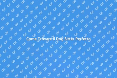 Dog Sitter: Scegli il Migliore per Te