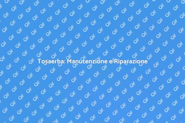 Ripara la Tua Tosaerba in Pochi Passi
