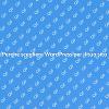 Costruisci il tuo sito con WordPress