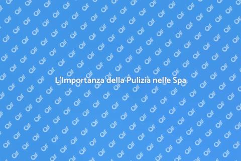 Pulizia Professionale per il Benessere