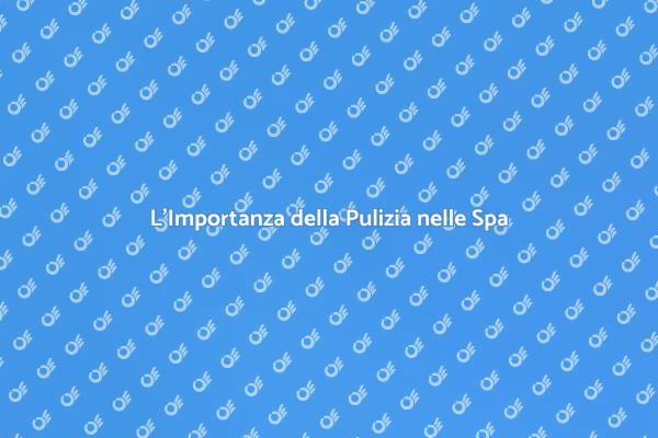 L'Essenza della Pulizia per il Benessere