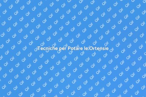 Potare le Ortensie in Modo Corretto
