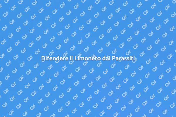 Come Difendere il Limoneto dai Parassiti