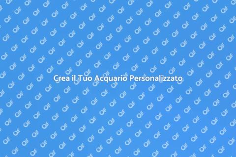 Acquari Personalizzati: La Tua Oasi