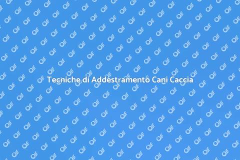 Addestramento Cani da Caccia: Guida