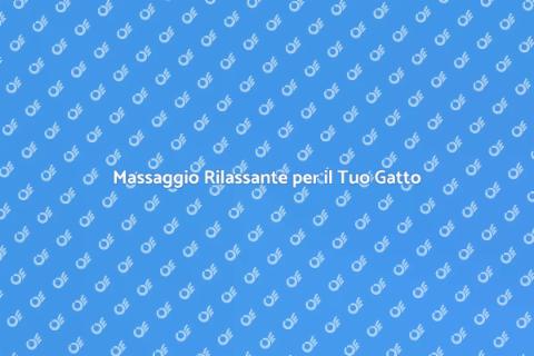 Massaggio per Gatti: Benessere Felino