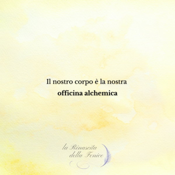 Domenico Ponticelli - Foto 9