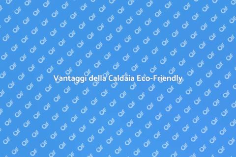 Caldaia a Risparmio Energetico
