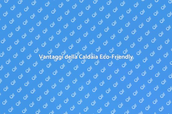 Caldaia Eco-Friendly per il Futuro