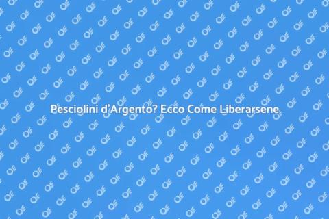 Disinfestazione Ecologica Pesciolini