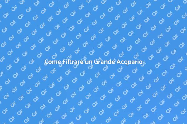 Filtraggio Efficace per Acquari Grandi