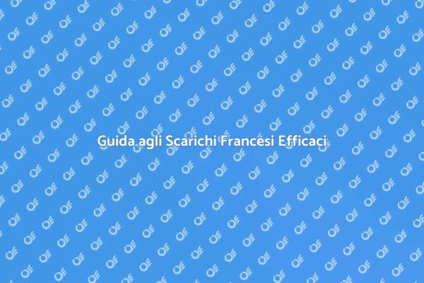 Scarichi Francesi: Gestione Efficace Acqua