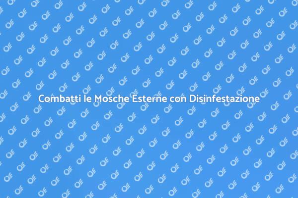 Liberati dalle Mosche Esterne Oggi!