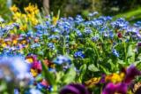 Giardino, consigli per mantenerlo a prova d'inverno