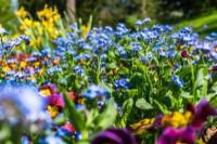 5 consigli per mantenere il tuo giardino a prova d'inverno