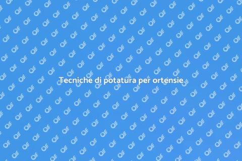 Potare le ortensie: guida semplice