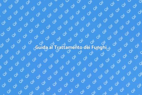 Trattamento Funghi in Casa: Guida Pratica