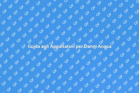 Appaltatori Danni Acqua: Guida Pratica