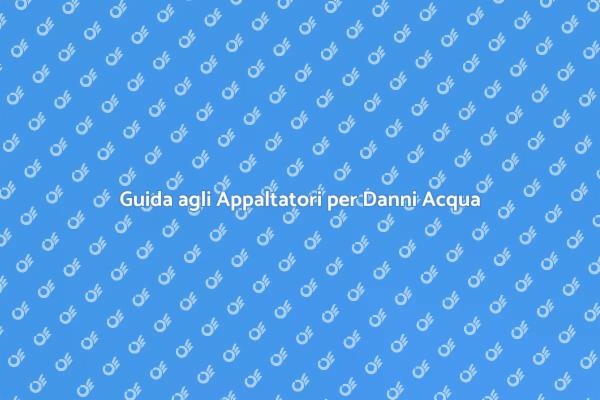 Appaltatori Esperti per Danni Acqua